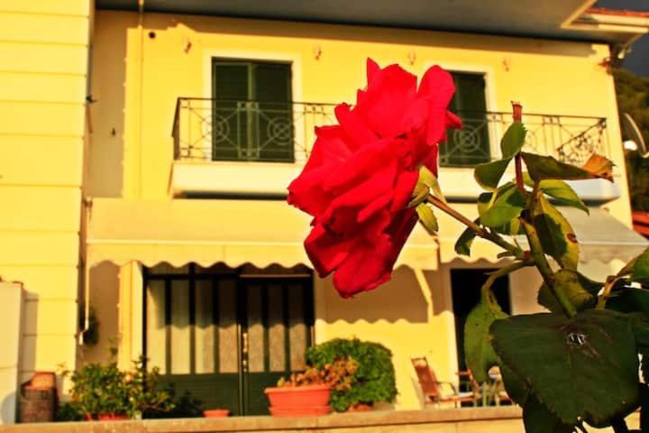 Guesthouse Bizani Neo Mpizani Exterior foto